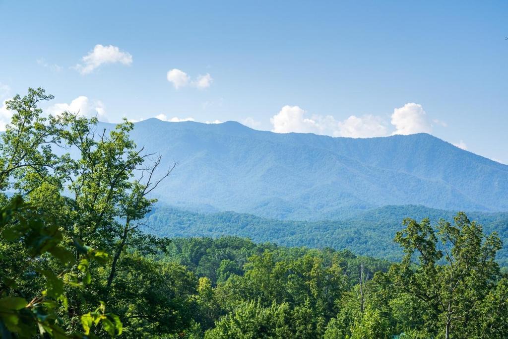 Black Bear Falls House | Another Day in Bearadise home