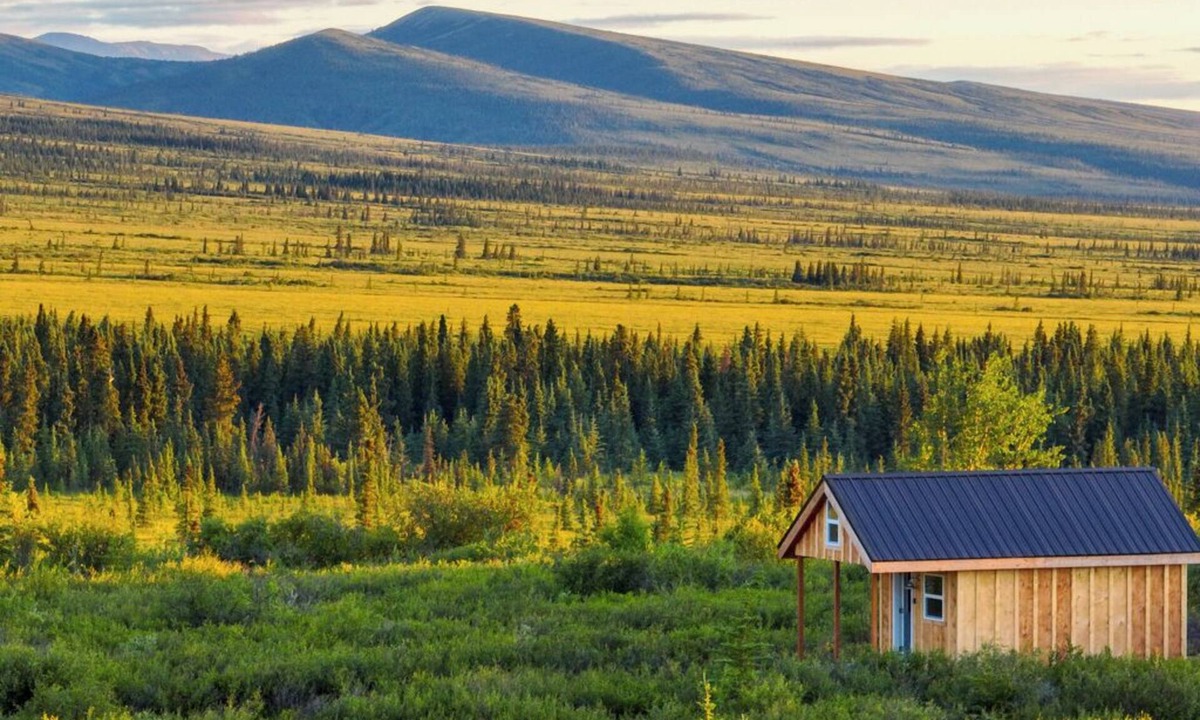 Healy Cabin | End of Stampede Dry Cabin, Near Denali
