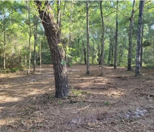 Chiefland Other | Fanning and Manatee Springs Exclusive Primitive Campground