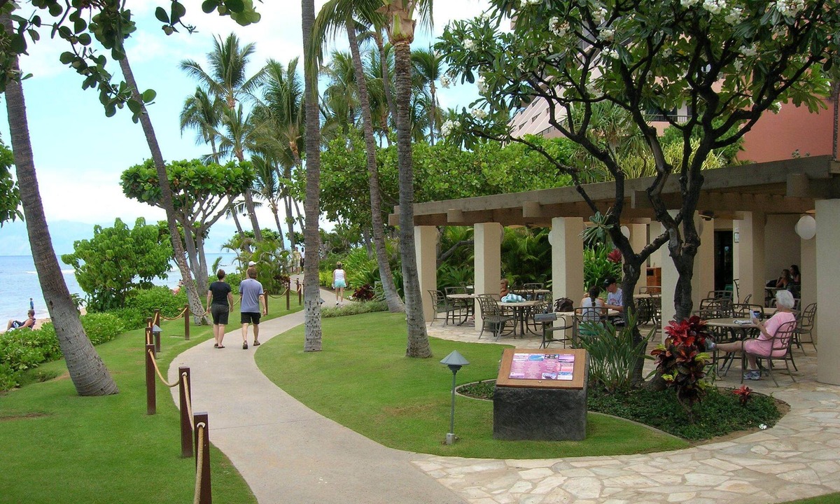 Kaanapali Condo | Ocean Front 3 bedroom Villa - sleeps 12