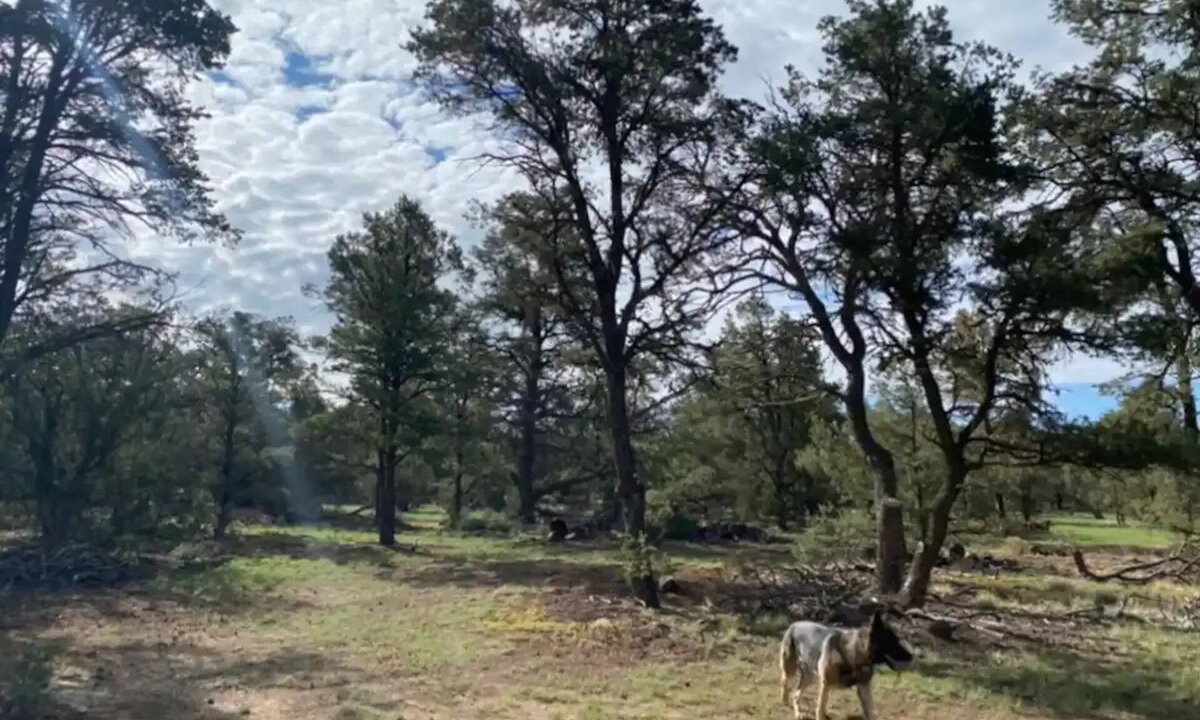 Quemado RV Rental | RV Mountain Getaway