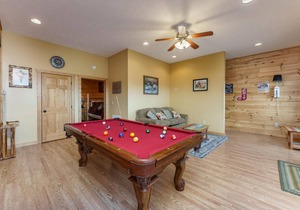 Caddy Shack: Mountain View, Pool Table