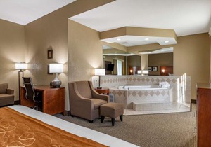 Comfort Suites Grand Rapids South