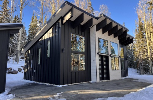 Steam Engine Meadows Ski Chalet | Chalet Black: Modern Ski Resort Haven in Wooded Paradise! 4 queen beds
