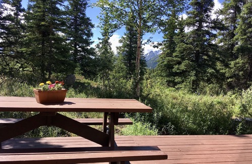 McKinley Park House | ☆ Denali Sunset House - Wild scenery with creature comforts!