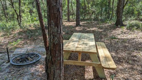 Chiefland Other | Fanning and Manatee Springs Exclusive Primitive Campground