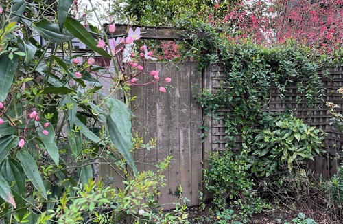Mississippi District House | Garden Apartment in Hip Mississippi Neighborhood