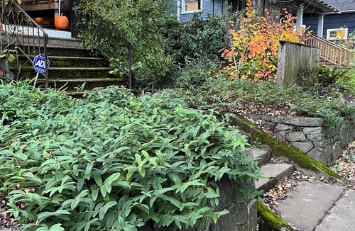 Mississippi District House | Garden Apartment in Hip Mississippi Neighborhood