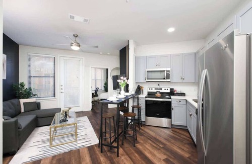 Southtown Apartment | Relaxing 1BR w Gym & Parking Near Rvrwalk & Dome