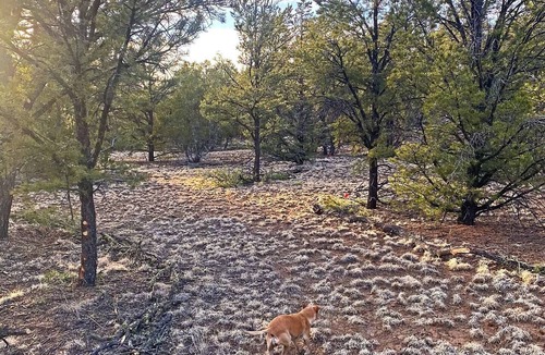 Quemado RV Rental | RV Mountain Getaway