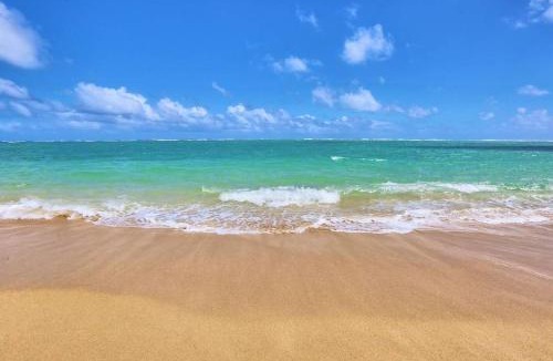 Punaluu Apartment | Stunning Ocean Views Condos in Oahu at Punaluu