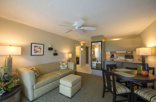 Wailua Hotel | Your Unbeatable Experience! Amazing Suite + Kitchen | Close to Local Attraction