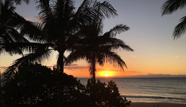 1BR/1BA/2 Parking Condo: Fully Renovated at Ritz Carton Turtle Bay