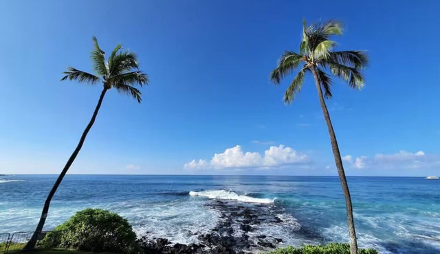 2 mins Hon'l Beach, 1 Bed Condo with full kitchen, AC, WiFi, laundry, pool, BBQ