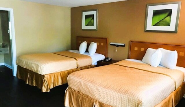 3 Budget-Friendly Rooms Perfect Groups near Tallahassee Memorial | Free Parking