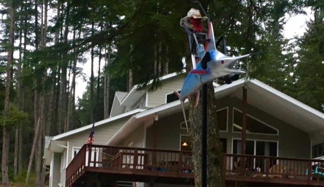 Biker's Bungalow - Near Mendenhall Glacier and Auke Bay Offering DISCOUNT ON TOURS!