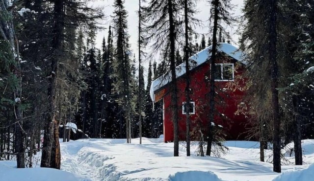 Cabin In The Woods