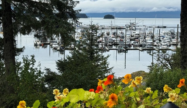Cozy 2-bedroom condo with a terrific view in awesome Juneau Alaska