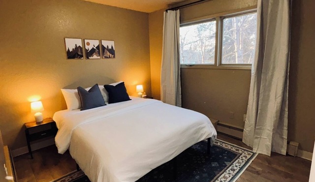 Dog Friendly Apartment In UMED District