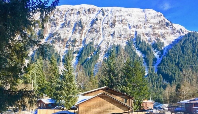 Glacier Guest Room - Walk to the Mendenhall Glacier Offering 10% OFF ON TOURS!