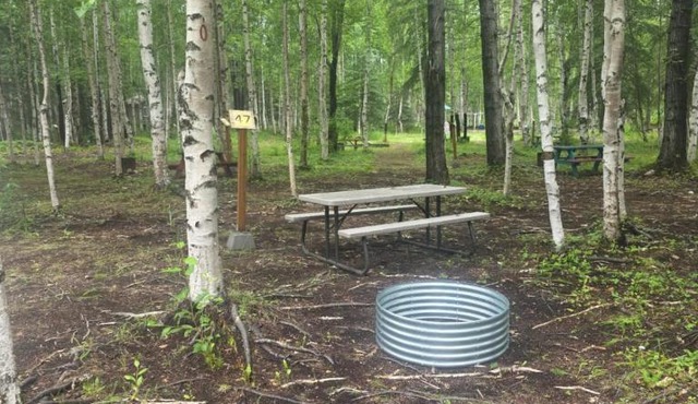 Houston Grass Station Campsite #47