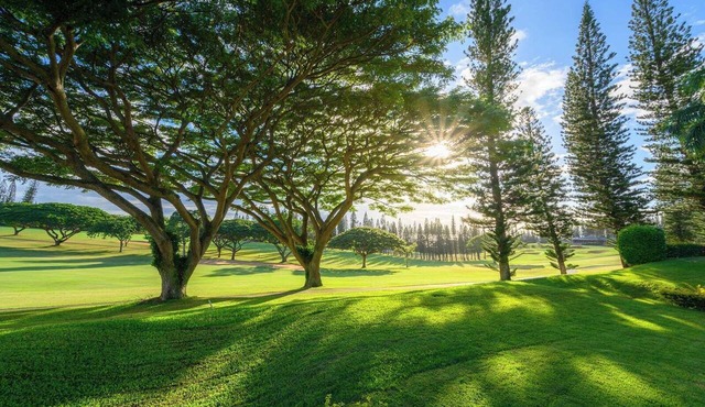 Kapalua Golf Villas | Golf View 2 BR, Sleeps 6 | Car Incl. w/6+ Nights | KGV-14P6 by KBM
