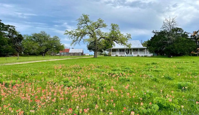 Luxury Farmhouse & Guesthouse/6mil to The Square