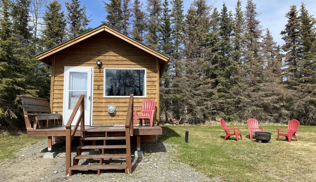 Modern Cabin @ Moose Tracks Lodging
