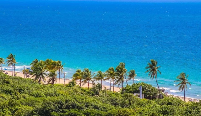 Ocean View Fort Lauderdale Beach Condo, Great central location
