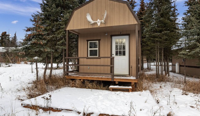 Pet Friendly Cabin in Kasilof Alaska