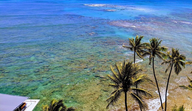 Summer Prices! Diamond Head Gem 1 bdr oceanfront condo, surfing, sunset views.