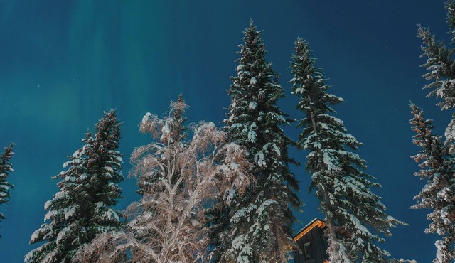This house is a 1 bedroom(s), 1 bathrooms, located in Fairbanks, AK.