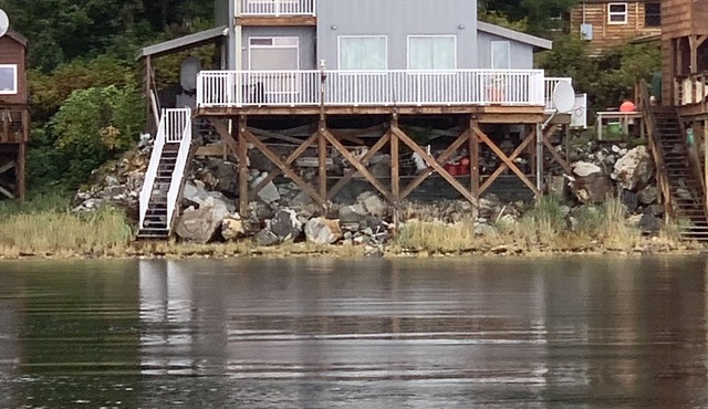 Ultimate Alaska wildlife experience.