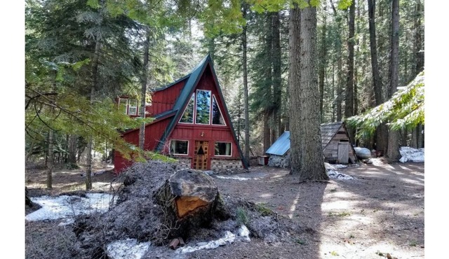 Unplug! Tranquil, Private, Pet-Friendly Rustic Cabin in the Woods
