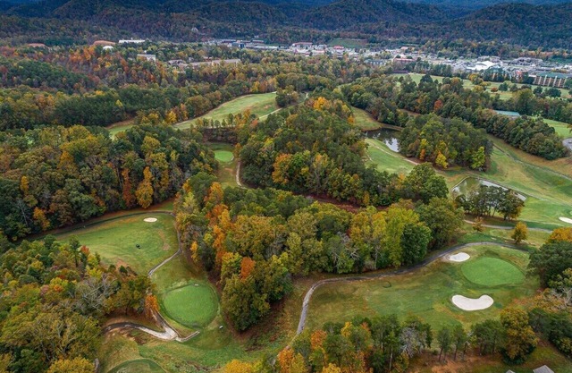 Laurel Villa Pigeon Forge 