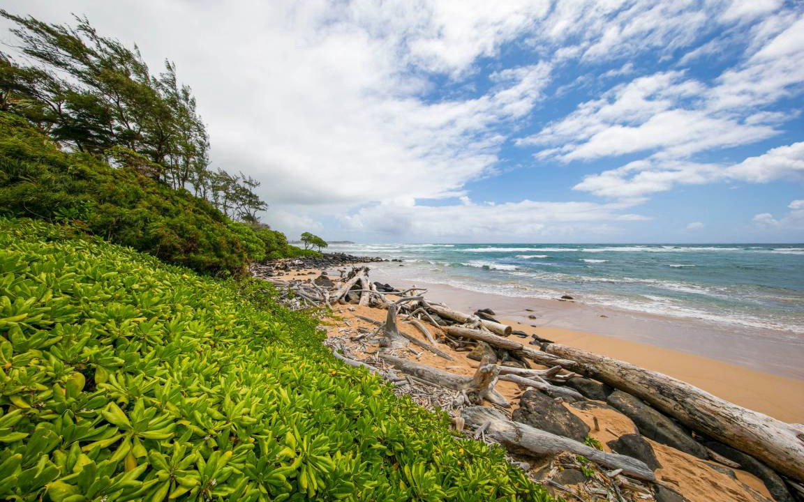 Photo of Others in Lihue