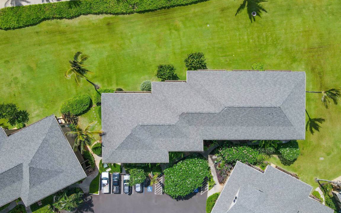 Photo of Others in Lihue