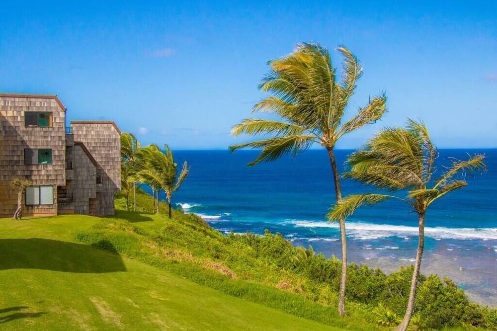Photo of Others in Princeville
