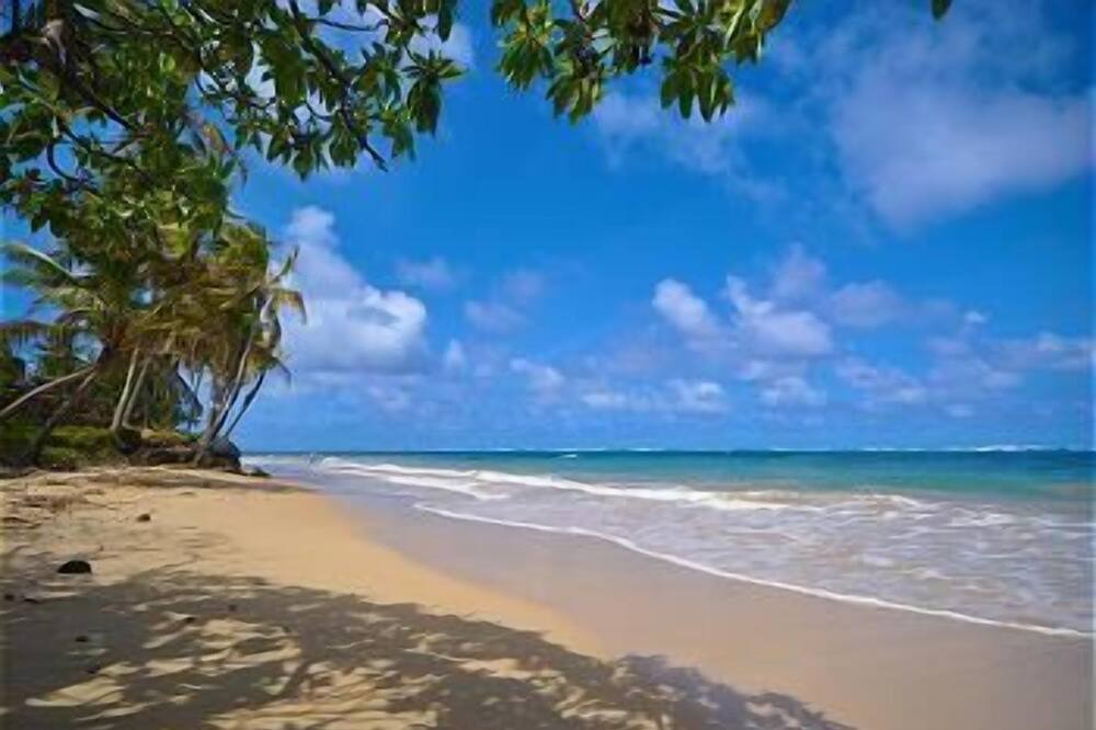 Photo of Others in Hauula