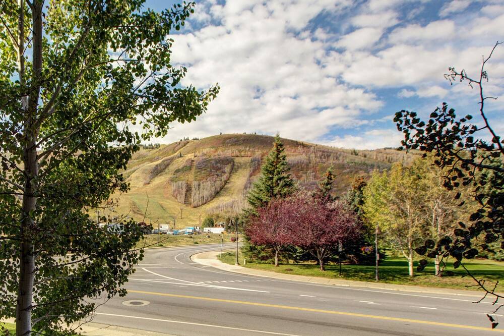 Photo of Others in North Park City