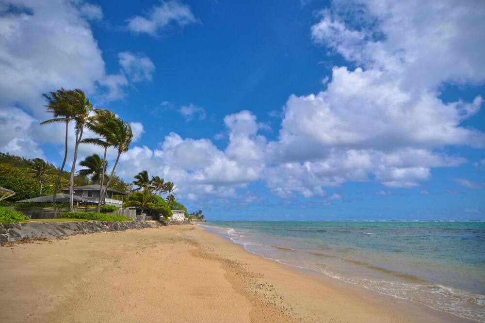 Photo of Others in Hauula