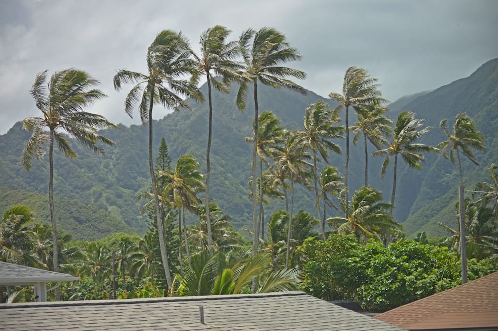 Photo of Others in Hauula