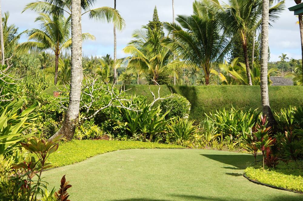 Photo of Others in Hanalei