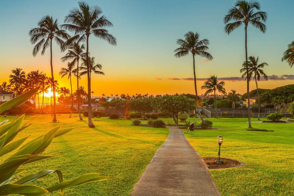 Photo of Outdoor in Poipu