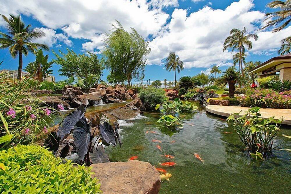 Photo of Others in Ko Olina