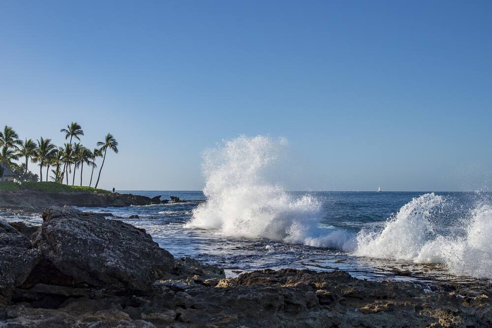 Photo of Others in Ko Olina