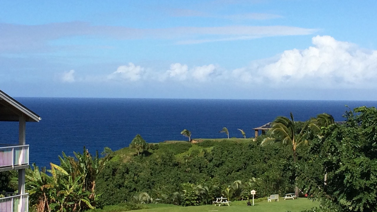 Photo of Others in Princeville