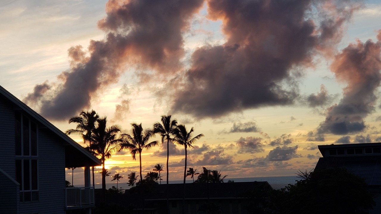 Photo of Others in Princeville