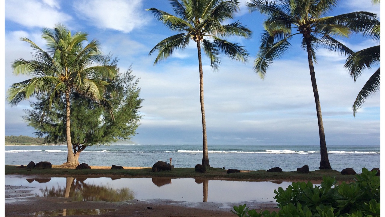 Photo of Outdoor in Princeville