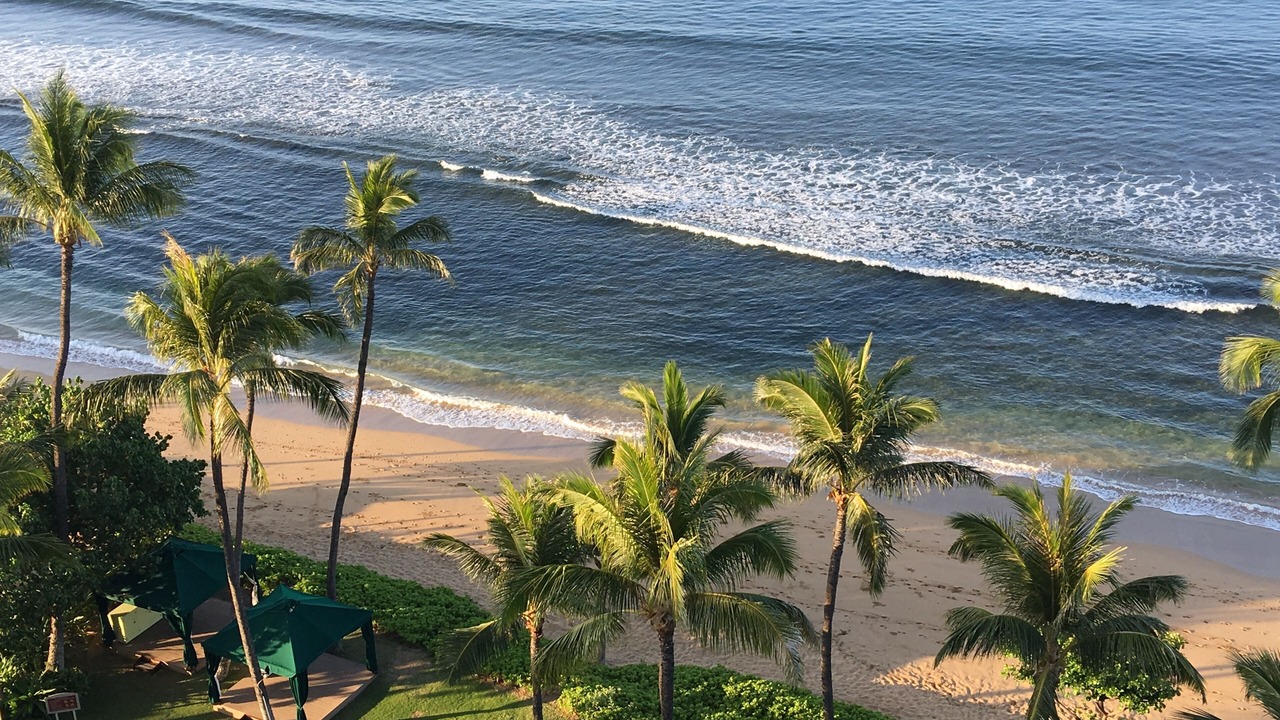 Photo of Others in Kaanapali